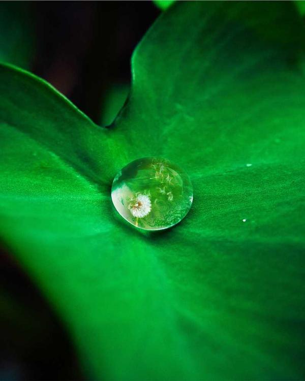 Classic Ankle Boot - Image 3