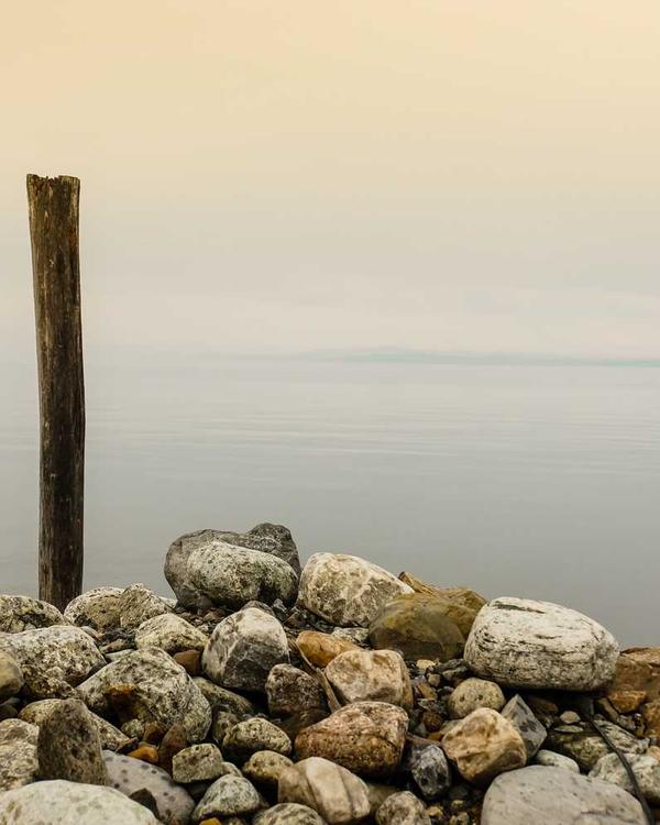 Cargo Joggers - Image 2