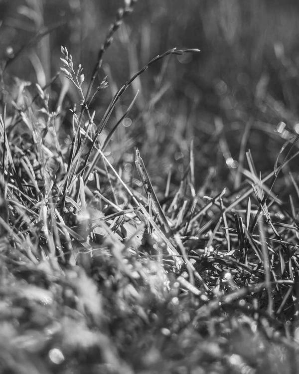 Cargo Joggers - Image 3