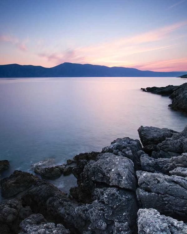 Chino Shorts - Image 2