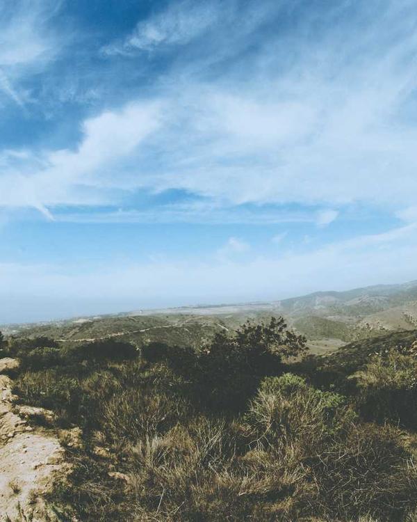 Cotton Whisper Top - Image 2