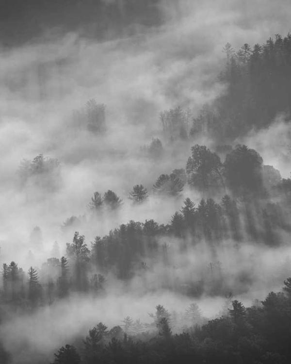 Relaxed Denim Jacket - Image 2