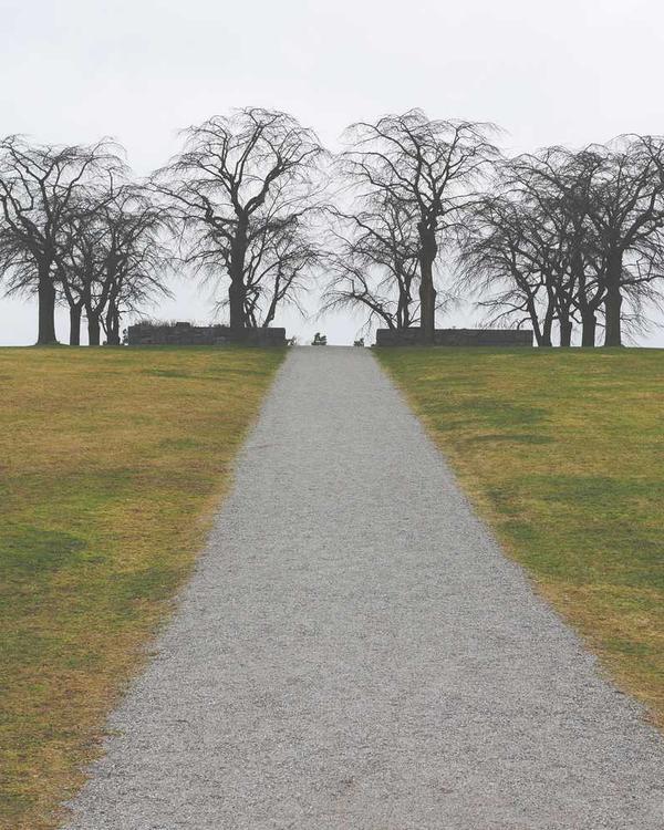 Relaxed Denim Jacket - Image 3