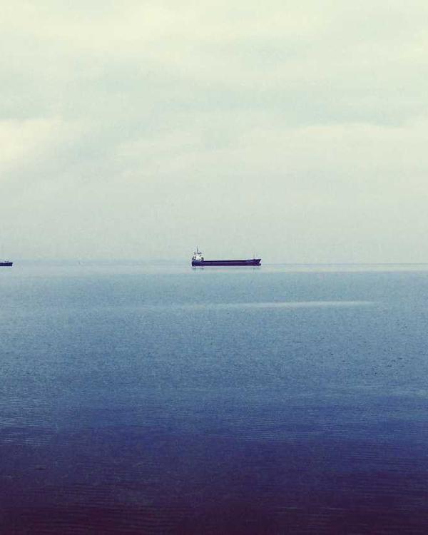 Dusty Rose Midi - Image 3