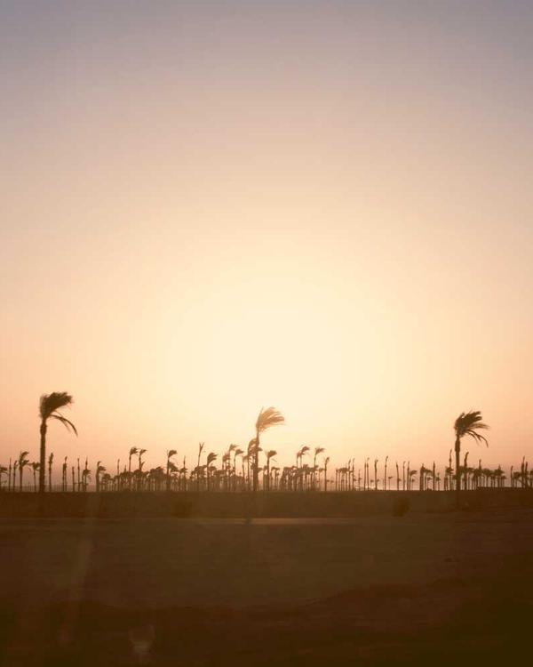 Floral Summer Dress - Image 3