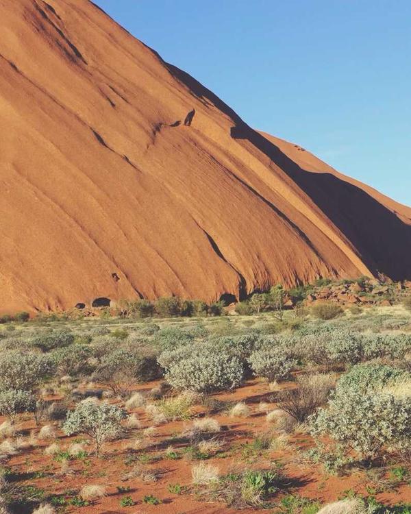 Harare Bomber Jacket