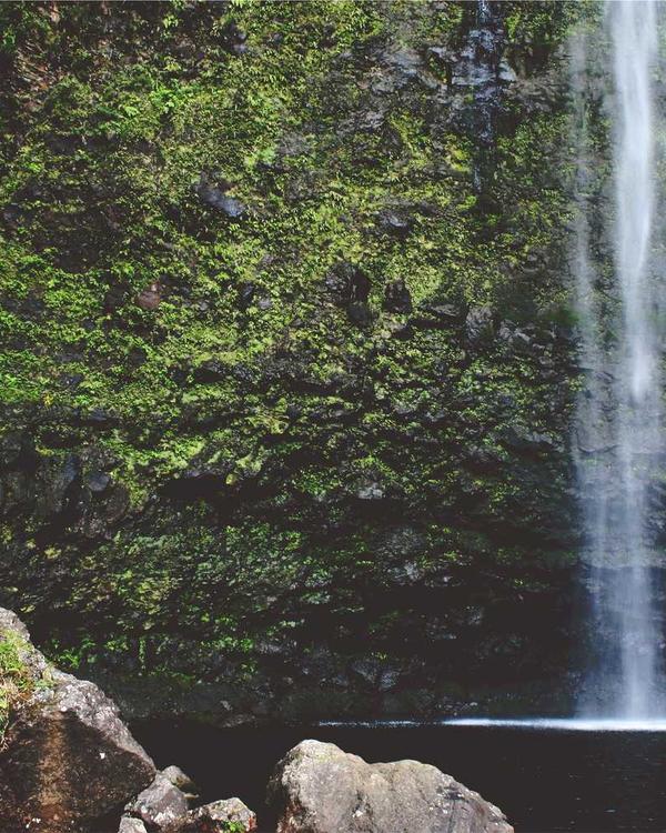 Harare Bomber Jacket - Image 3