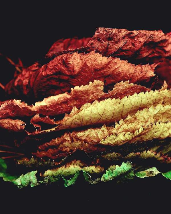 Harare Sunset Gown - Image 2