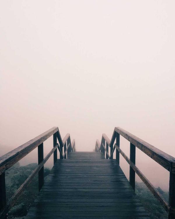 Heritage Silk Sneaker - Image 2