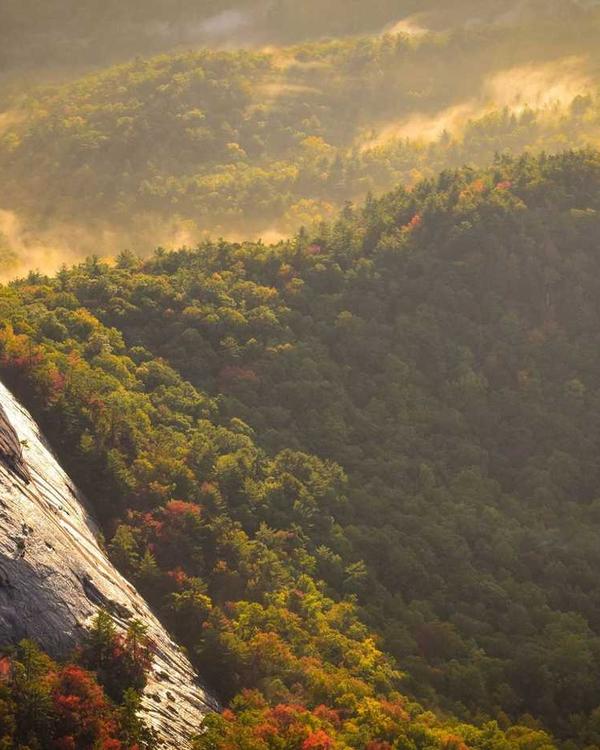 Chunky Knit Cardigan - Image 3