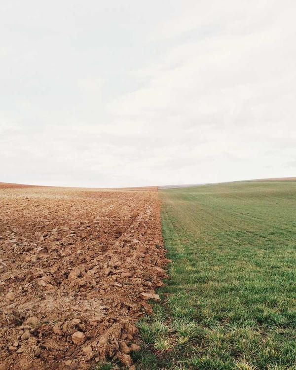 Classic Leather Belt