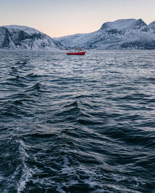 Classic Leather Belt - Image 2