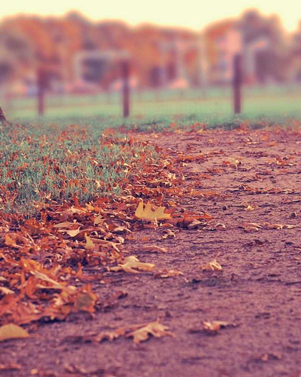 Peplum Blouse - Image 3