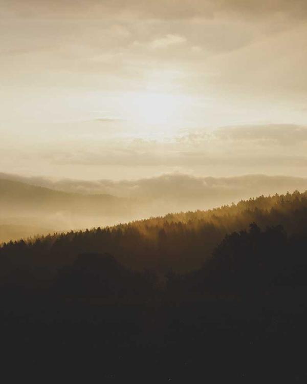 Platform Wedge - Image 2