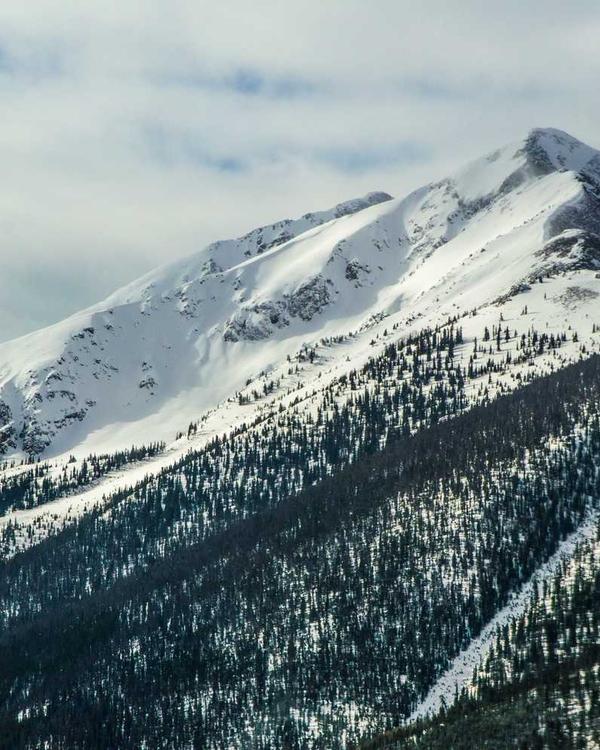 Satin Cami Top - Image 3