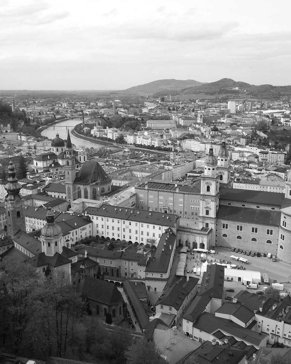 Botanical Silk Scarf - Image 3