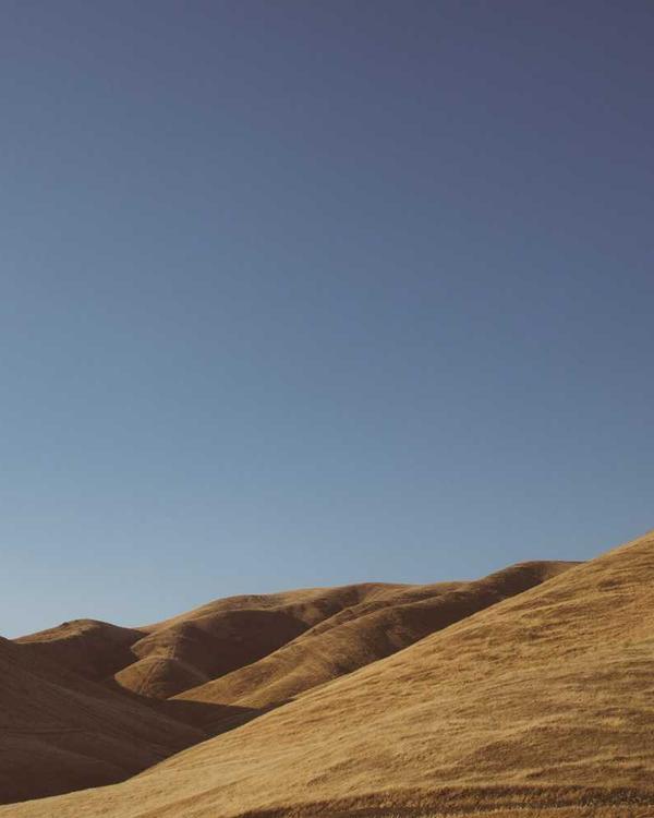 Essential Skinny Jeans - Image 3