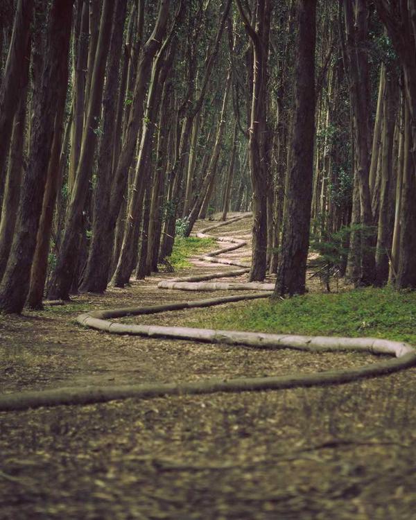 Statement Earrings - Image 3