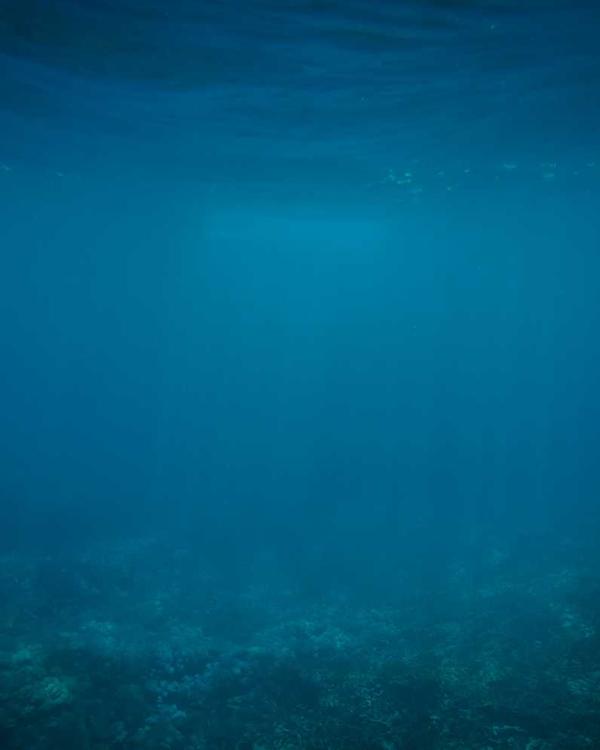 Tailored Culottes - Image 2